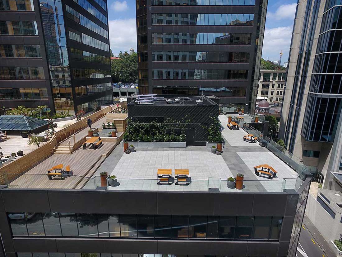Corporate Rooftop Terrace - GreensceneNZ Landscapes